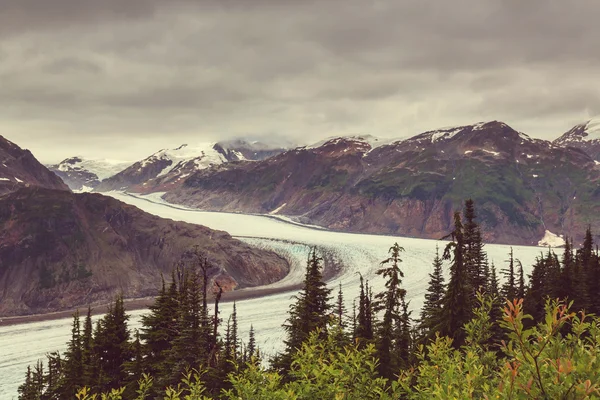 Glaciar del salmón en Canadá —  Fotos de Stock