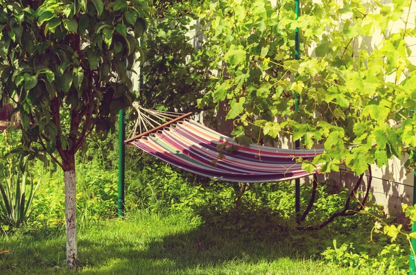 Hangmat in de groene tuin — Stockfoto