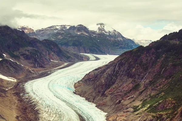 Salmon glacier in Canada — Stock Photo, Image