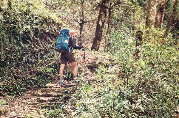Wandelaar in Himalaya jungle — Stockfoto
