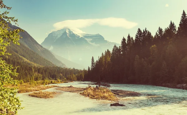 Picturesque Mount Robson — Stock Photo, Image
