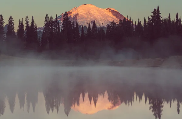 Parque Nacional Mount Rainier — Fotografia de Stock