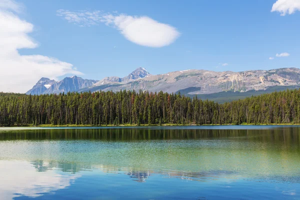 Picturesque järvi Kanadassa — kuvapankkivalokuva
