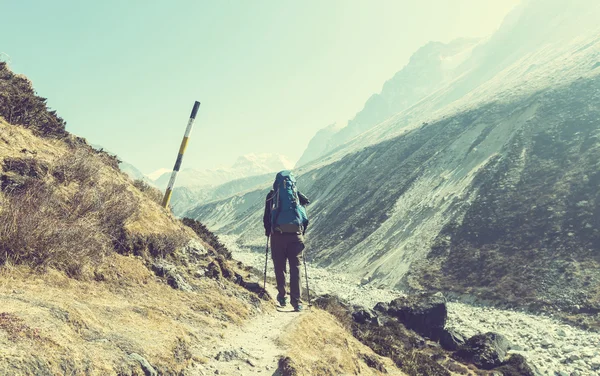 Senderista en la montaña del Himalaya — Foto de Stock