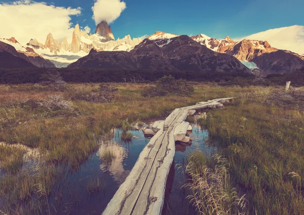 Cerro Fitz Roy in Argentinien — Stockfoto