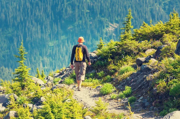 Wandelen man in de bergen — Stockfoto