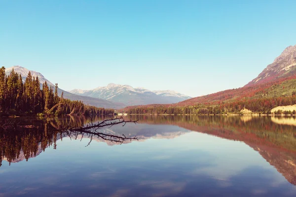 Malebné jezero v Kanadě — Stock fotografie