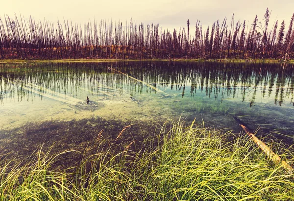 Serenity Lake in der Tundra Alaskas — Stockfoto