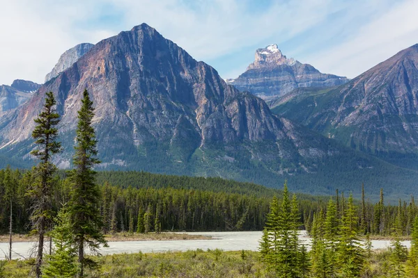 Picturesque Canadian mountains Stock Image