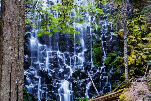Ramona falls Oregonban — Stock Fotó