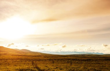 Kutup tundra manzara 