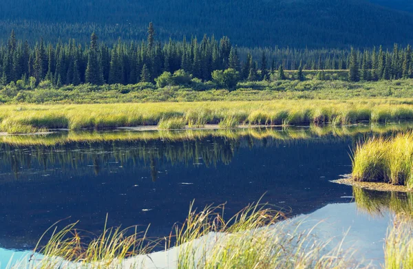 Pittoresco lago in Canada — Foto Stock