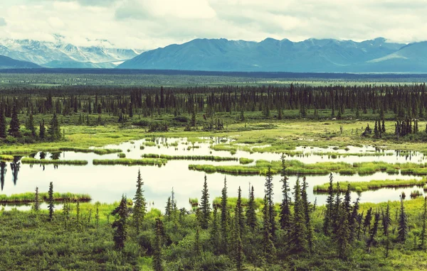 Montagnes pittoresques en Alaska — Photo