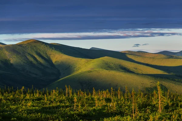 Polární tundry krajina — Stock fotografie