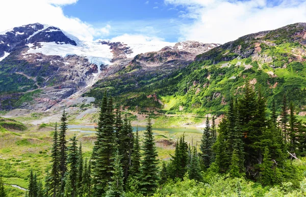 Malerische berge in alaska — Stockfoto