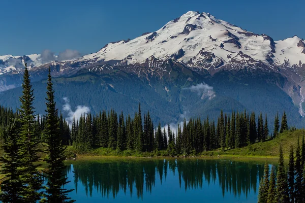 Parque Nacional Monte Rainier —  Fotos de Stock