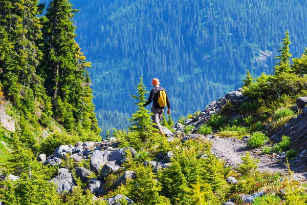 Backpacker w letnich górach — Zdjęcie stockowe