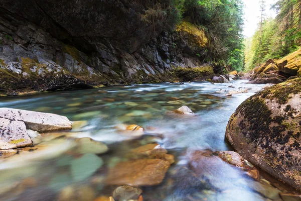 Corriente del río de montaña — Foto de Stock