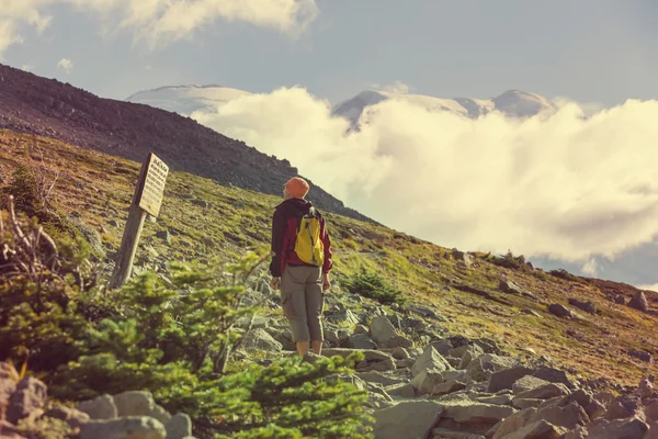 Backpacker in the summer mountains — Stock Photo, Image