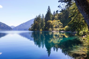 Lake Crescent at Olympic National Park  clipart