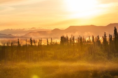 Alaska'daki dağlarda sis