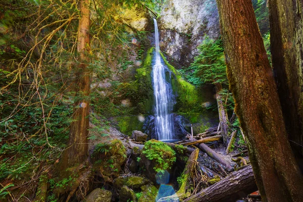 Bella cascata nell'isola di Vancouver — Foto Stock