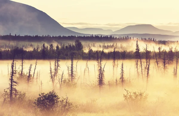 Nevoeiro nas montanhas no Alasca — Fotografia de Stock