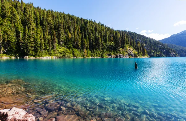 Caminhada no Lago Garibaldi, Canadá . — Fotografia de Stock
