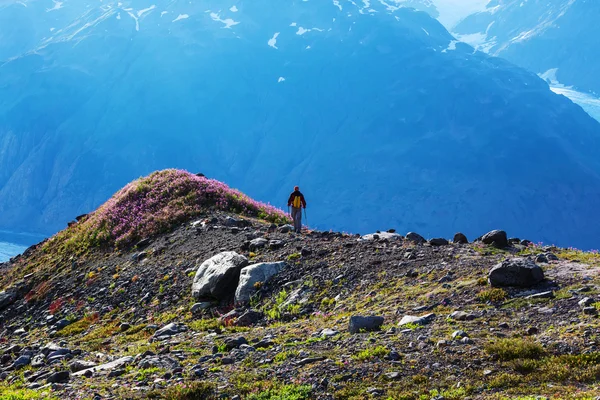 Männlicher wanderer in alaska — Stockfoto