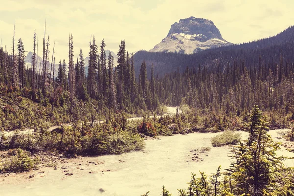 如诗如画的美丽加拿大山脉 — 图库照片