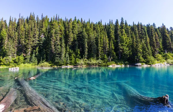 Caminata en el lago Garibaldi, Canadá . — Foto de Stock