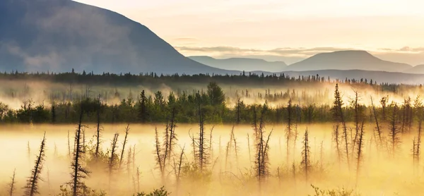 Brouillard dans les montagnes en Alaska — Photo