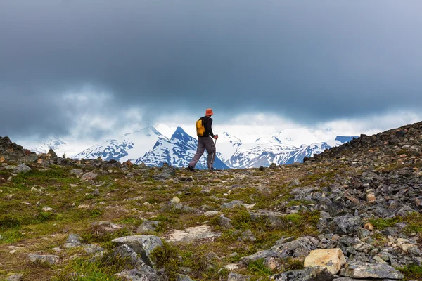 Adam Kanada dağlarında hiking — Stok fotoğraf