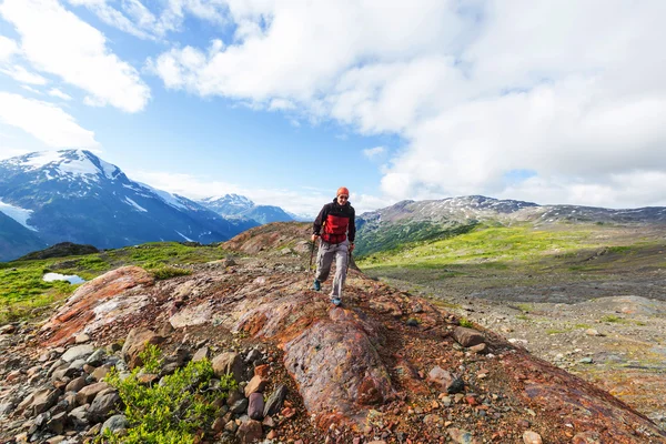 Pěší turistika muž v pohoří v Kanadě — Stock fotografie