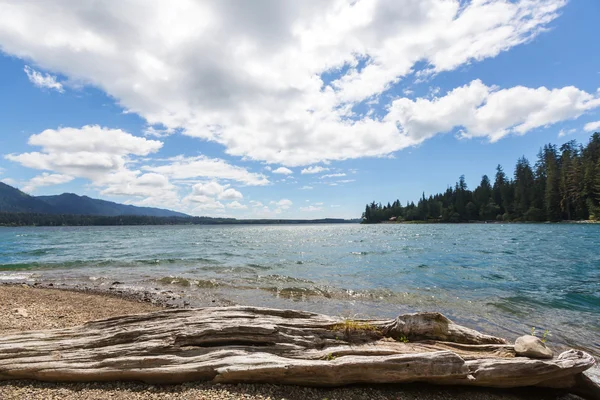 Beautiful landscape on Vancouver Island — Stock Photo, Image