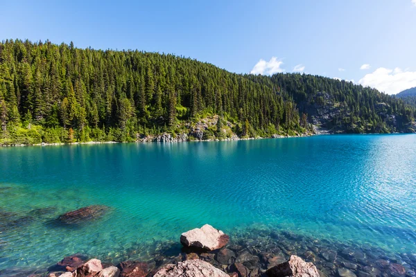 Kirándulás a Garibaldi Lake, Amerikai Egyesült Államok. — Stock Fotó