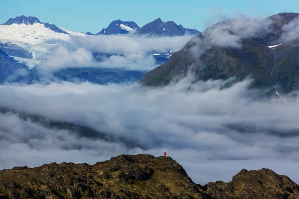 Montagne dell'Alaska in estate — Foto Stock