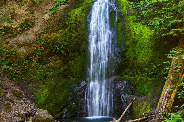 Vattenfall på Vancouver island — Stockfoto