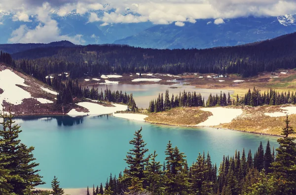 Caminata en el lago Garibaldi, Canadá . — Foto de Stock