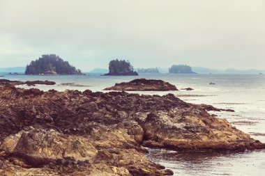 Güzel Vancouver Adası