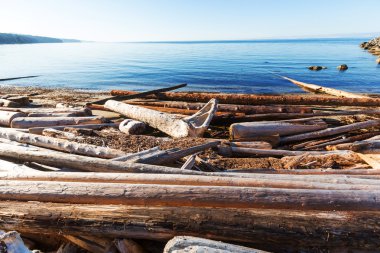 Güzel Vancouver Adası