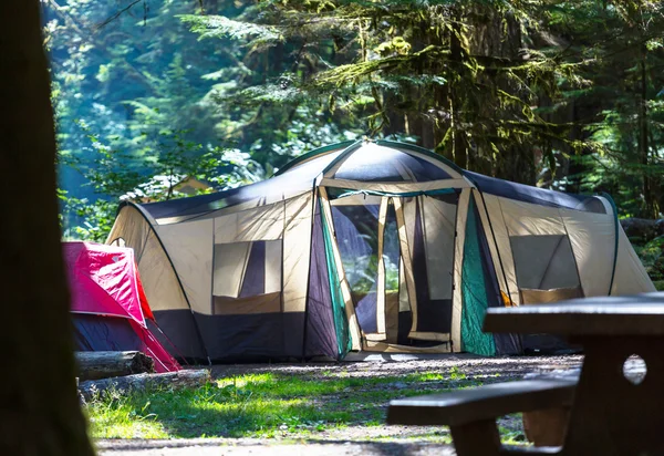 Tenda colorida na floresta — Fotografia de Stock