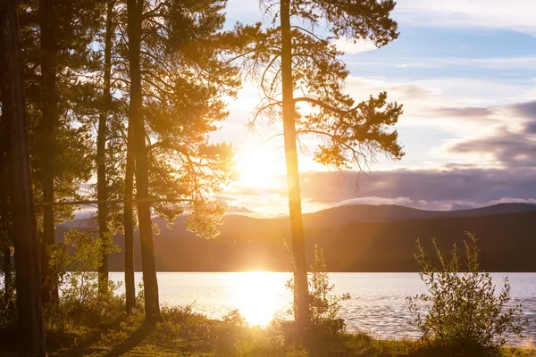 Sunrise scene on lake — Stock Photo, Image