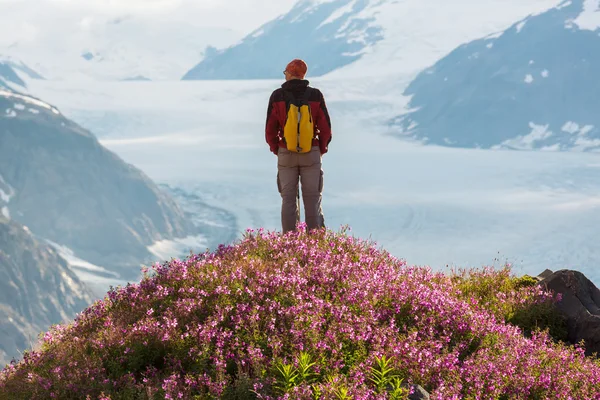 Wandelen man in Bergen — Stockfoto