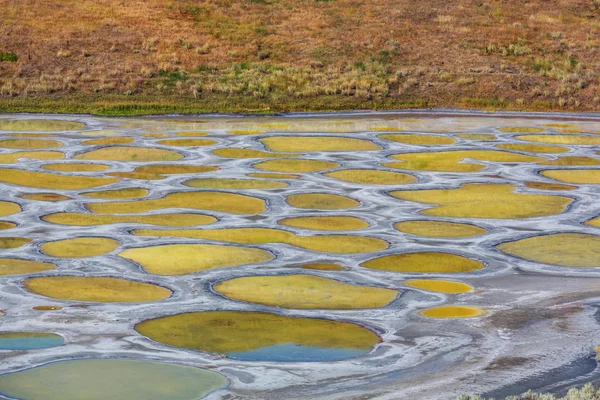 Spotted Lake in British Columbia
