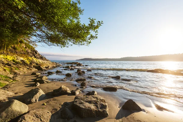 Beautiful Vancouver Island — Stock Photo, Image