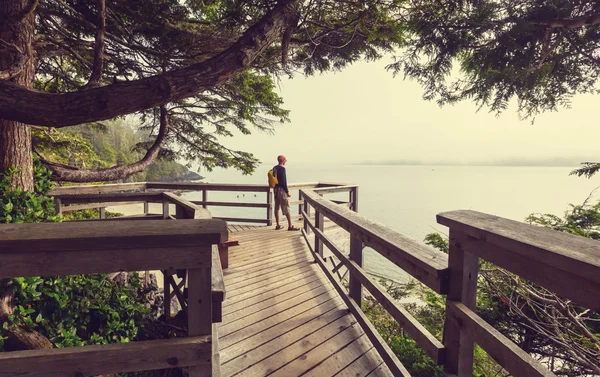 Belle île de Vancouver — Photo