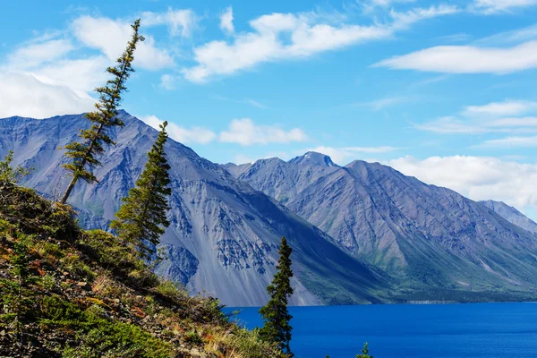 Красивое озеро в Канаде — стоковое фото
