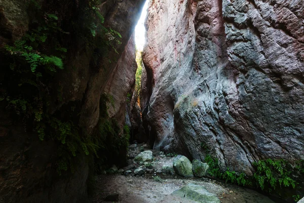 Güzel Avakas Gorge — Stok fotoğraf