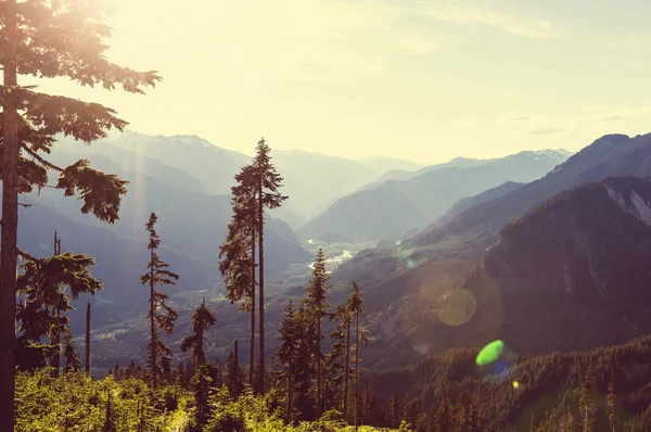 Picturesque Canadian mountains — Stock Photo, Image